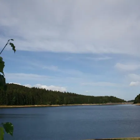 Landgasthof Zum Schuetzenhaus Sosa 3* Eibenstock
